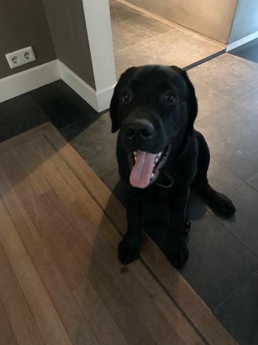 Afbeelding-van-WhatsApp-op-2025-01-23-om-19.22.12 bc9eb54e